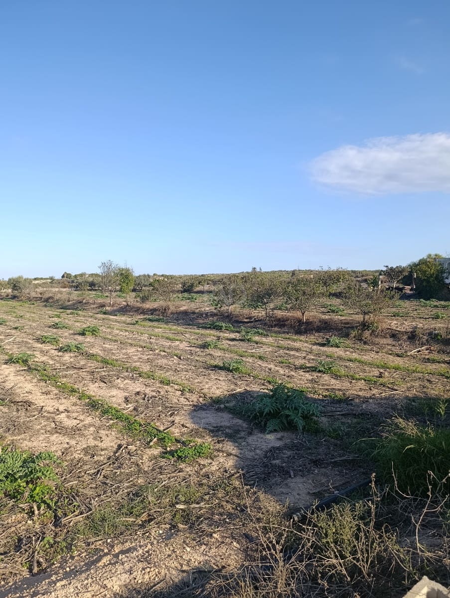 Terreno/Finca Rústica en La Hoya en venta - 149.000 € (Ref: 9988936)