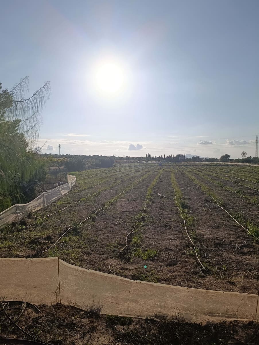 Terreno/Finca Rústica en La Hoya en venta - 149.000 € (Ref: 9988936)