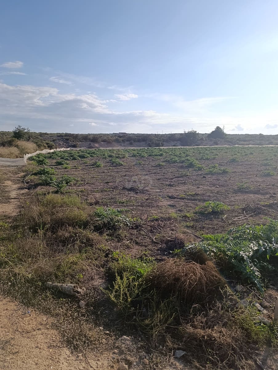 Terreno/Finca Rústica en La Hoya en venta - 149.000 € (Ref: 9988936)