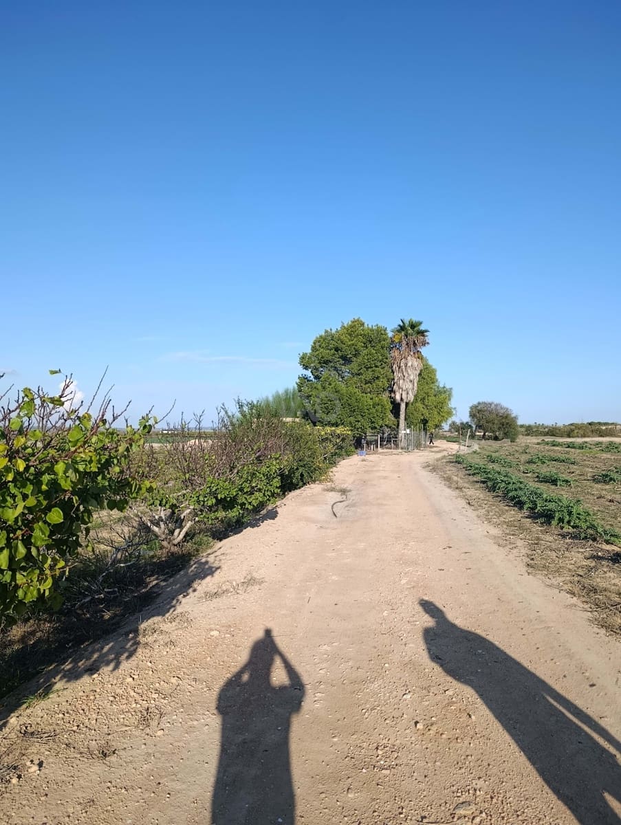 Terreno/Finca Rústica en La Hoya en venta - 149.000 € (Ref: 9988936)