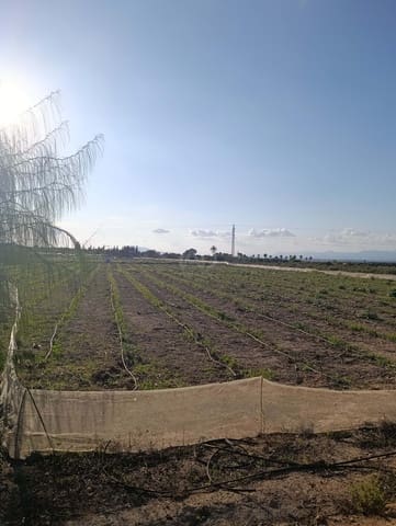 Terreno/Finca Rústica en La Hoya, Elche / Elx en venta - 149.000 € (Ref: 9988936)