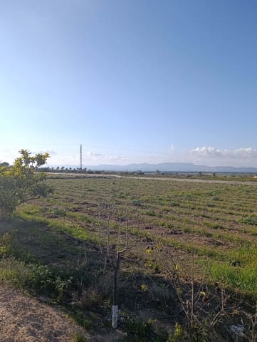 Terreno/Finca Rústica en La Hoya, Elche / Elx en venta - 149.000 € (Ref: 9988936)