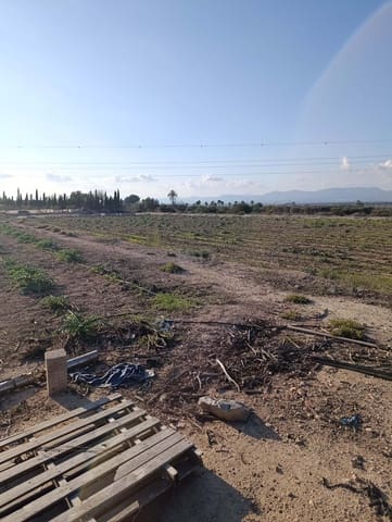 Terreno/Finca Rústica en La Hoya, Elche / Elx en venta - 149.000 € (Ref: 9988936)