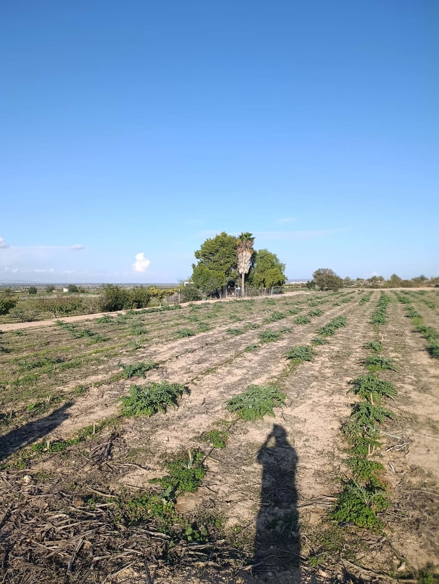 Terreno/Finca Rústica en La Hoya en venta - 149.000 € (Ref: 9988936)