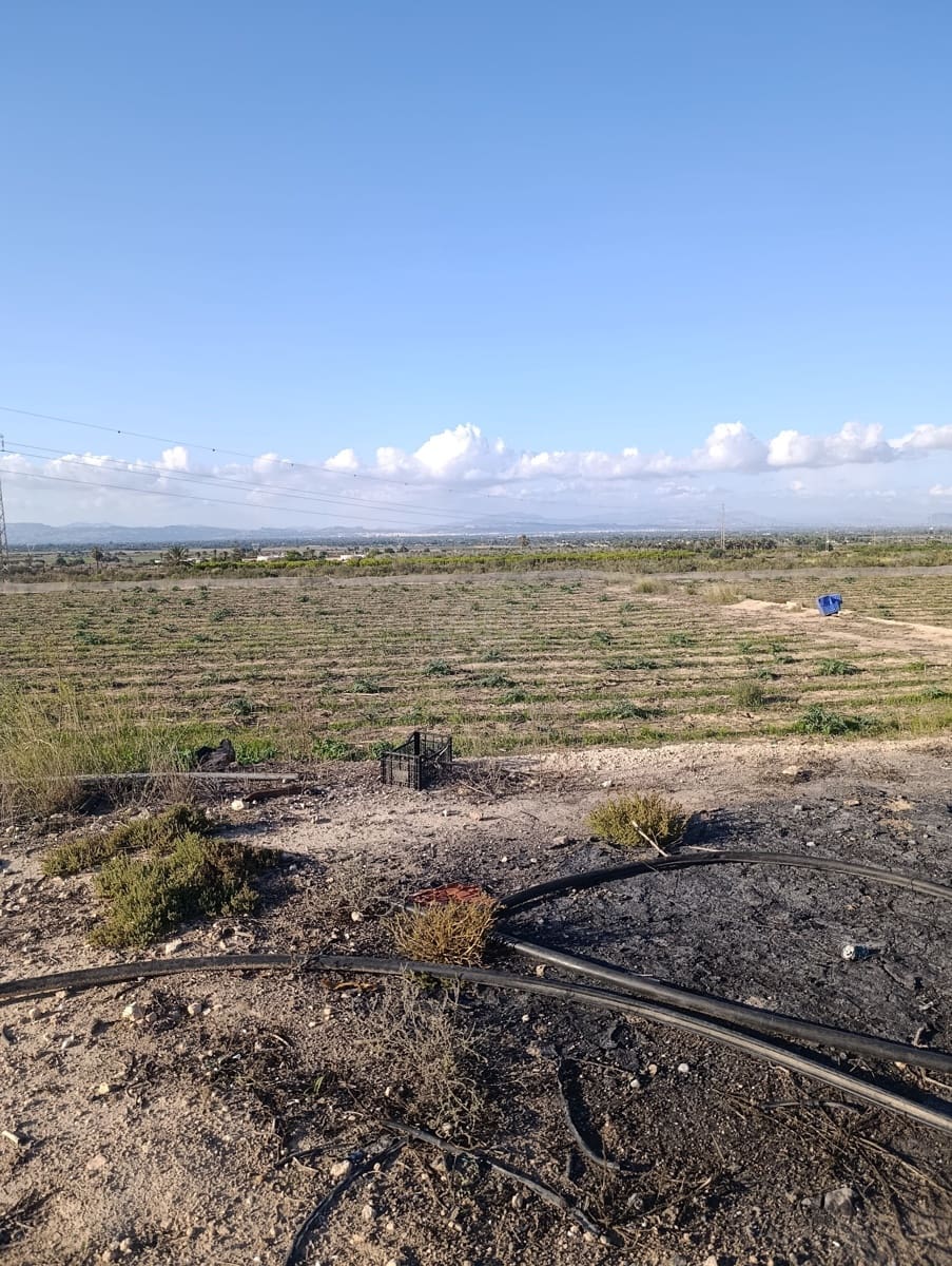 Terreno/Finca Rústica en La Hoya en venta - 149.000 € (Ref: 9988936)