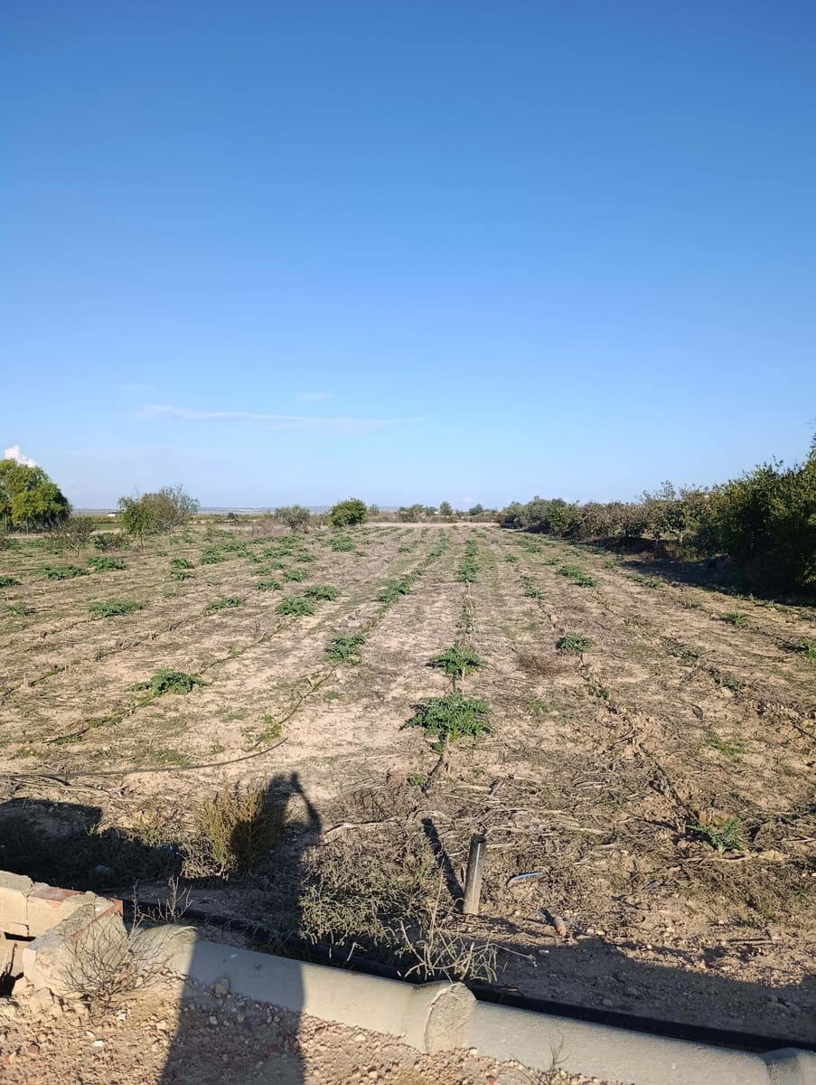 Terreno/Finca Rústica en La Hoya en venta - 149.000 € (Ref: 9988936)