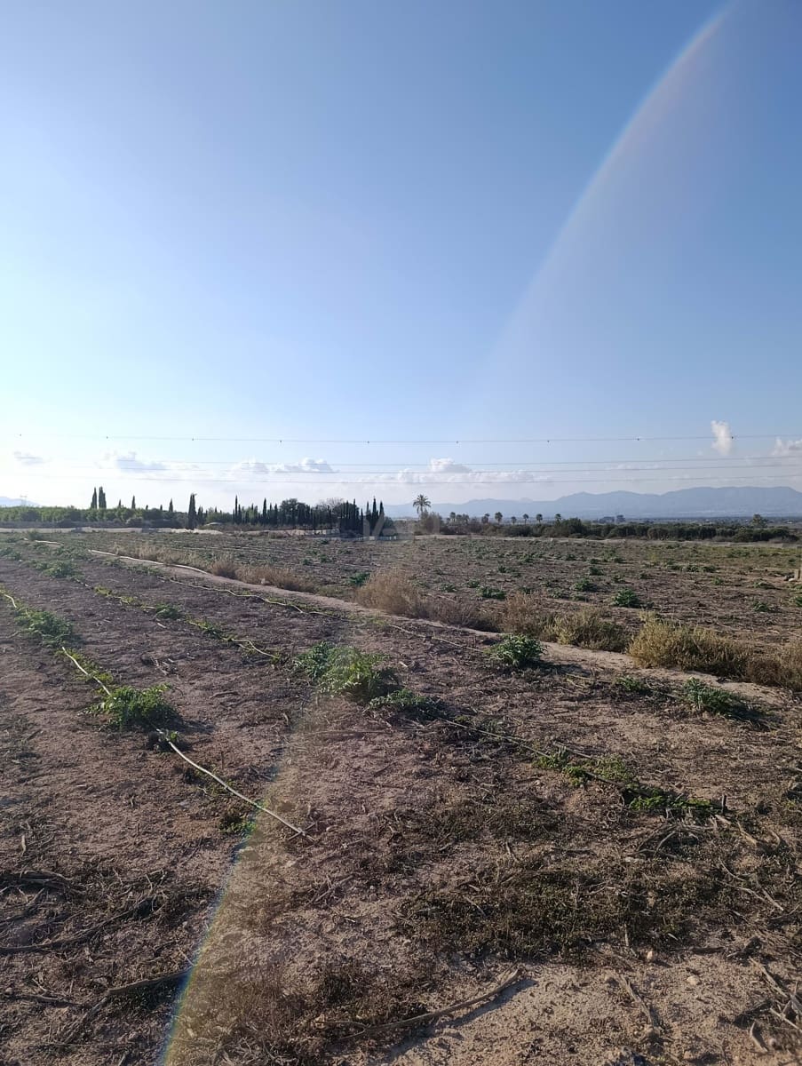 Terreno/Finca Rústica en La Hoya en venta - 149.000 € (Ref: 9988936)