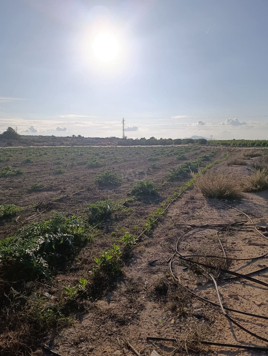 Terreno/Finca Rústica en La Hoya en venta - 149.000 € (Ref: 9988936)