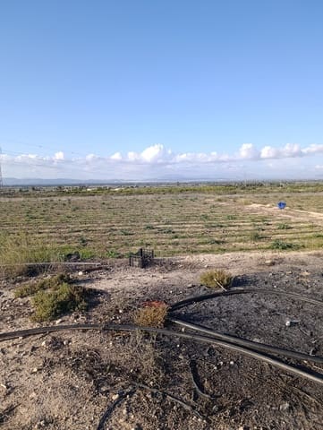 Terreno/Finca Rústica en La Hoya, Elche / Elx en venta - 149.000 € (Ref: 9988936)