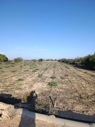 Terreno/Finca Rústica en La Hoya, Elche / Elx en venta - 149.000 € (Ref: 9988936)