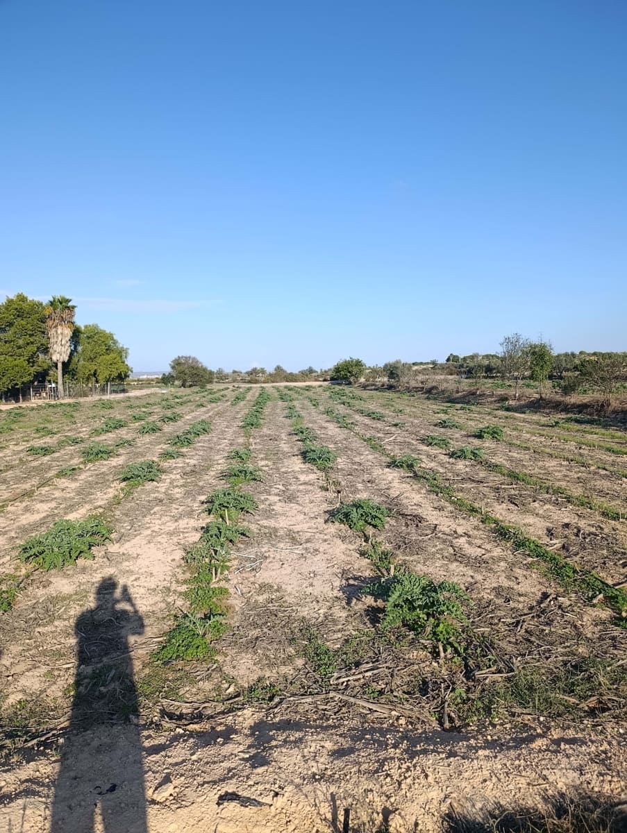 Terreno/Finca Rústica en La Hoya en venta - 149.000 € (Ref: 9988936)