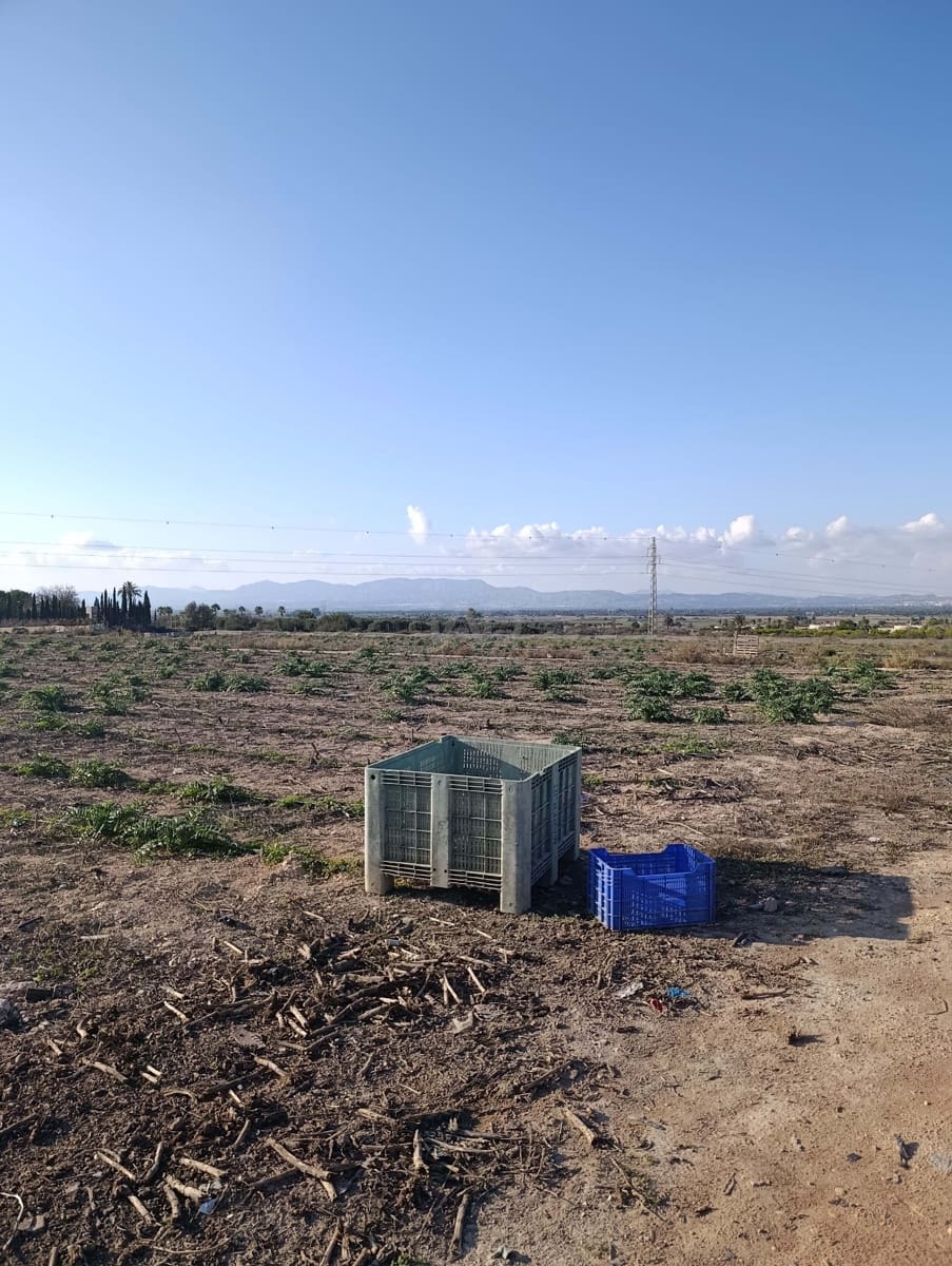 Terreno/Finca Rústica en La Hoya en venta - 149.000 € (Ref: 9988936)