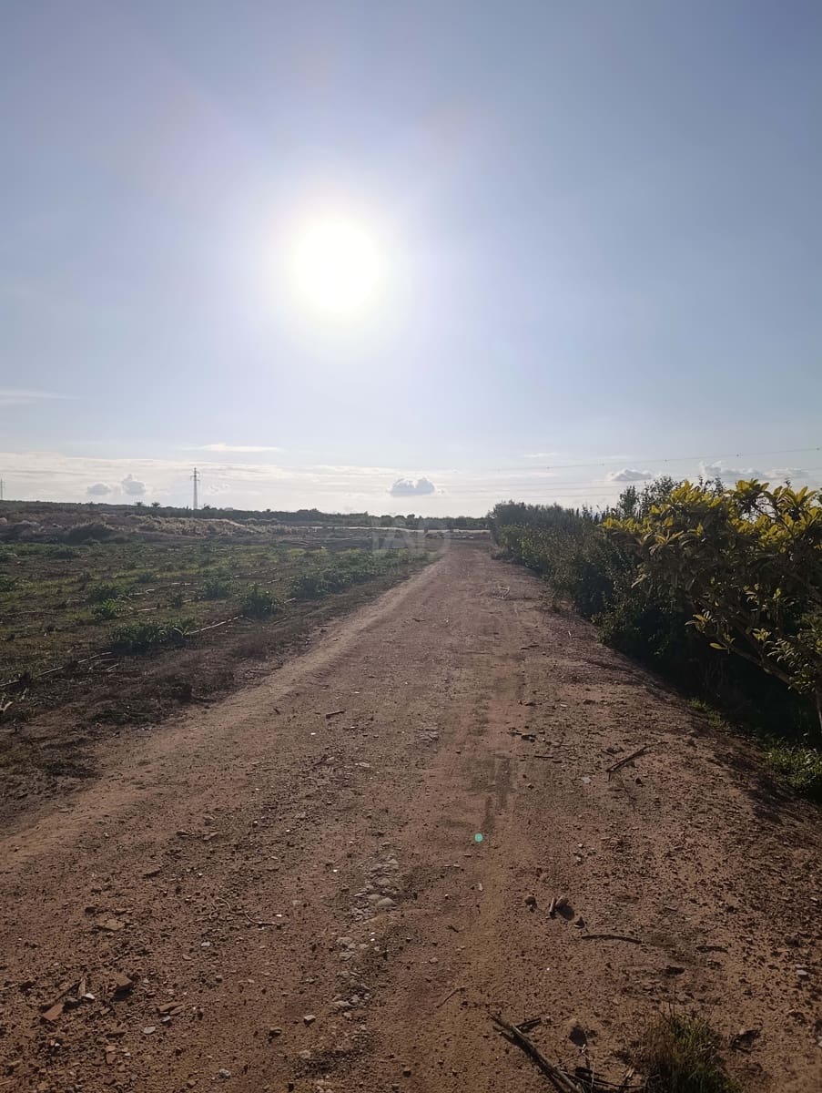 Terreno/Finca Rústica en La Hoya en venta - 149.000 € (Ref: 9988936)