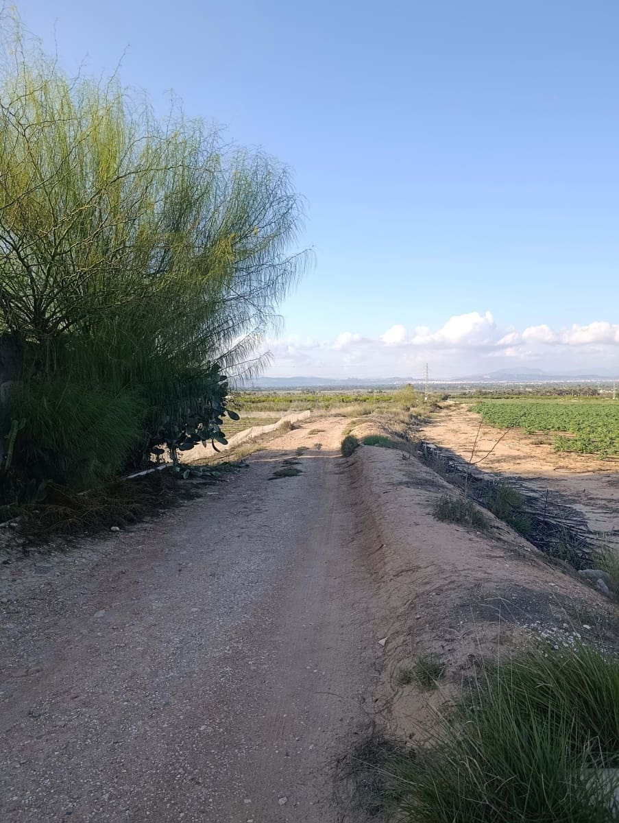 Terreno/Finca Rústica en La Hoya en venta - 149.000 € (Ref: 9988936)