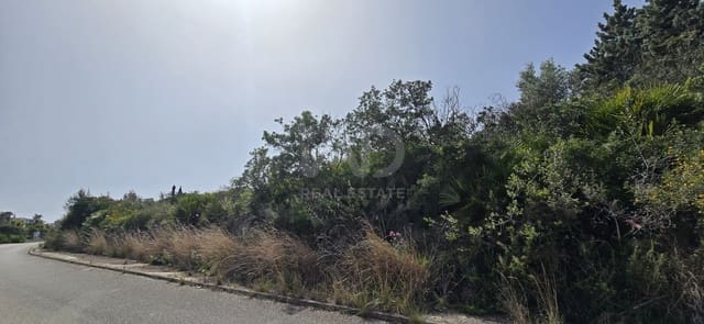 Ubebygd land til salgs i Alicante by - € 128 000 (Ref: 9988938)