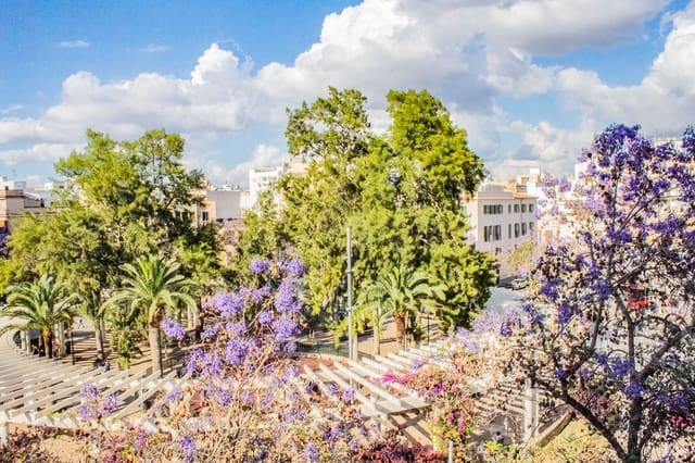 Apartamento de 4 habitaciones en Pere Garau, Palma de Mallorca en venta - 639.000 € (Ref: 9988942)