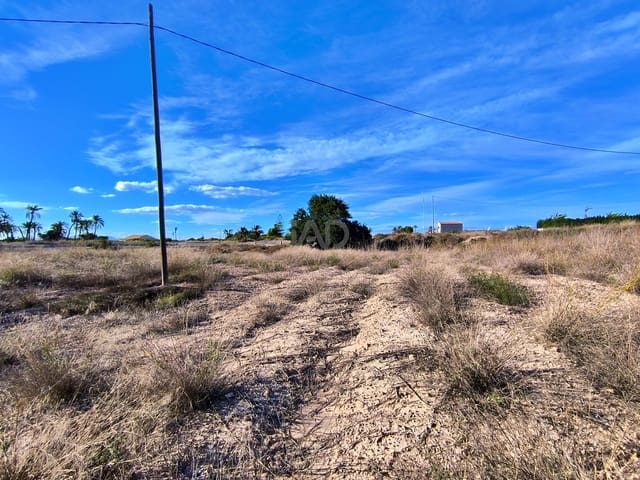 Terreno Non Edificato in vendita in Las Bayas, Elche / Elx - 385.000 € (Rif: 9988963)