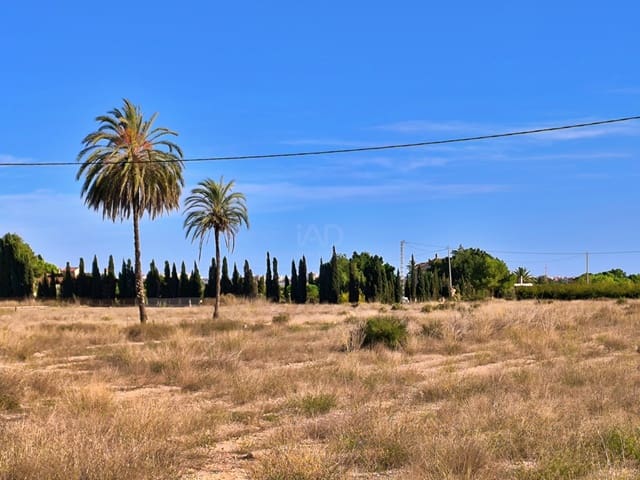 Terreno Non Edificato in vendita in Las Bayas, Elche / Elx - 385.000 € (Rif: 9988963)