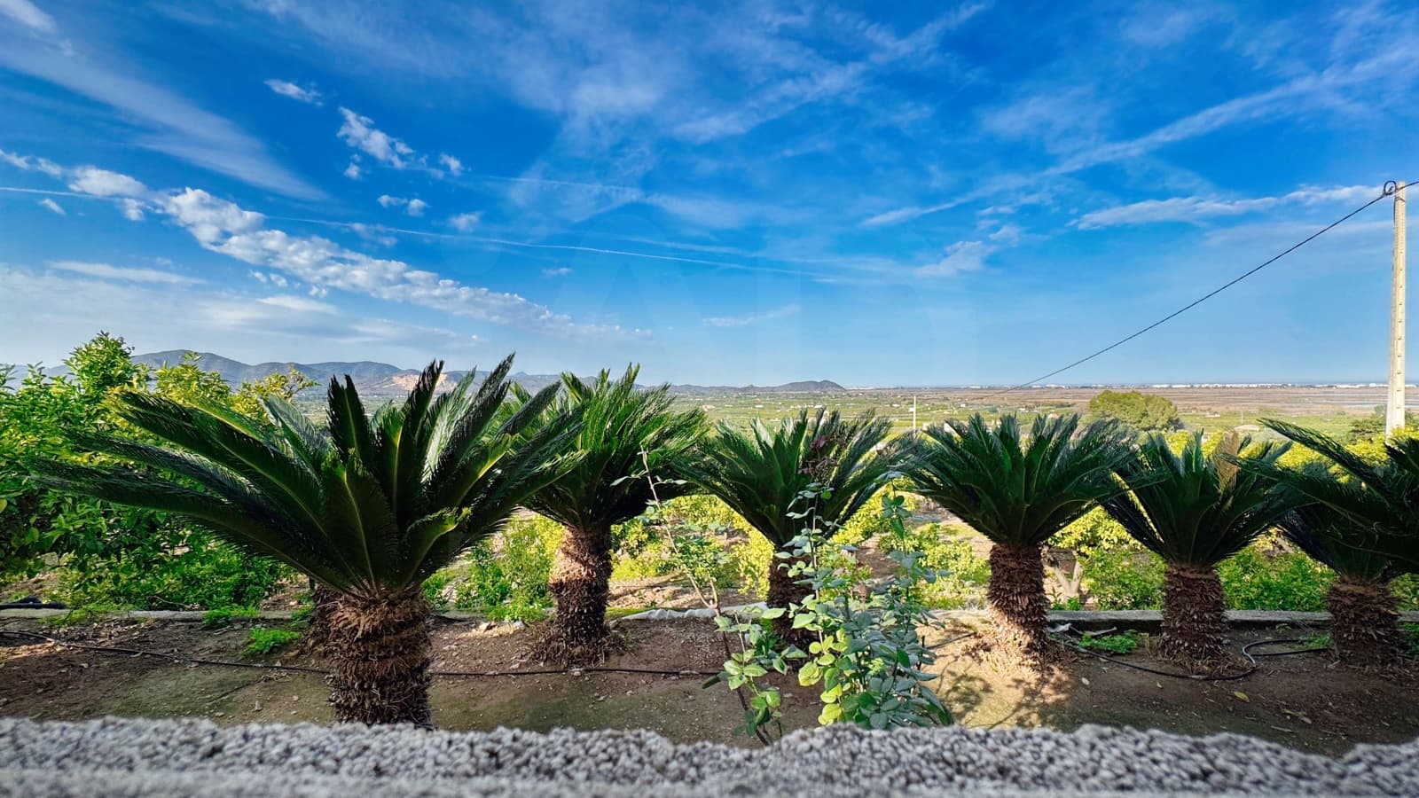 2 Zimmer Finca/Landgut zu verkaufen in Alicante / Alacant Stadt - 175.000 € (Ref: 9988968)