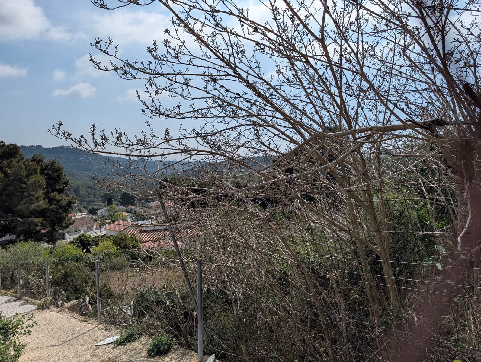 Bouwgrond te koop in Tarragona stad - € 49.000 (Ref: 9988979)