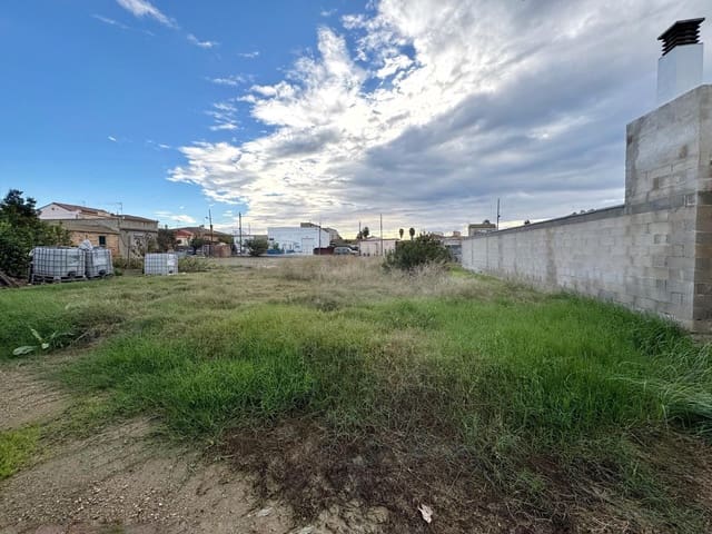 Solar/Parcela en Deltebre en venta - 59.000 € (Ref: 9988984)