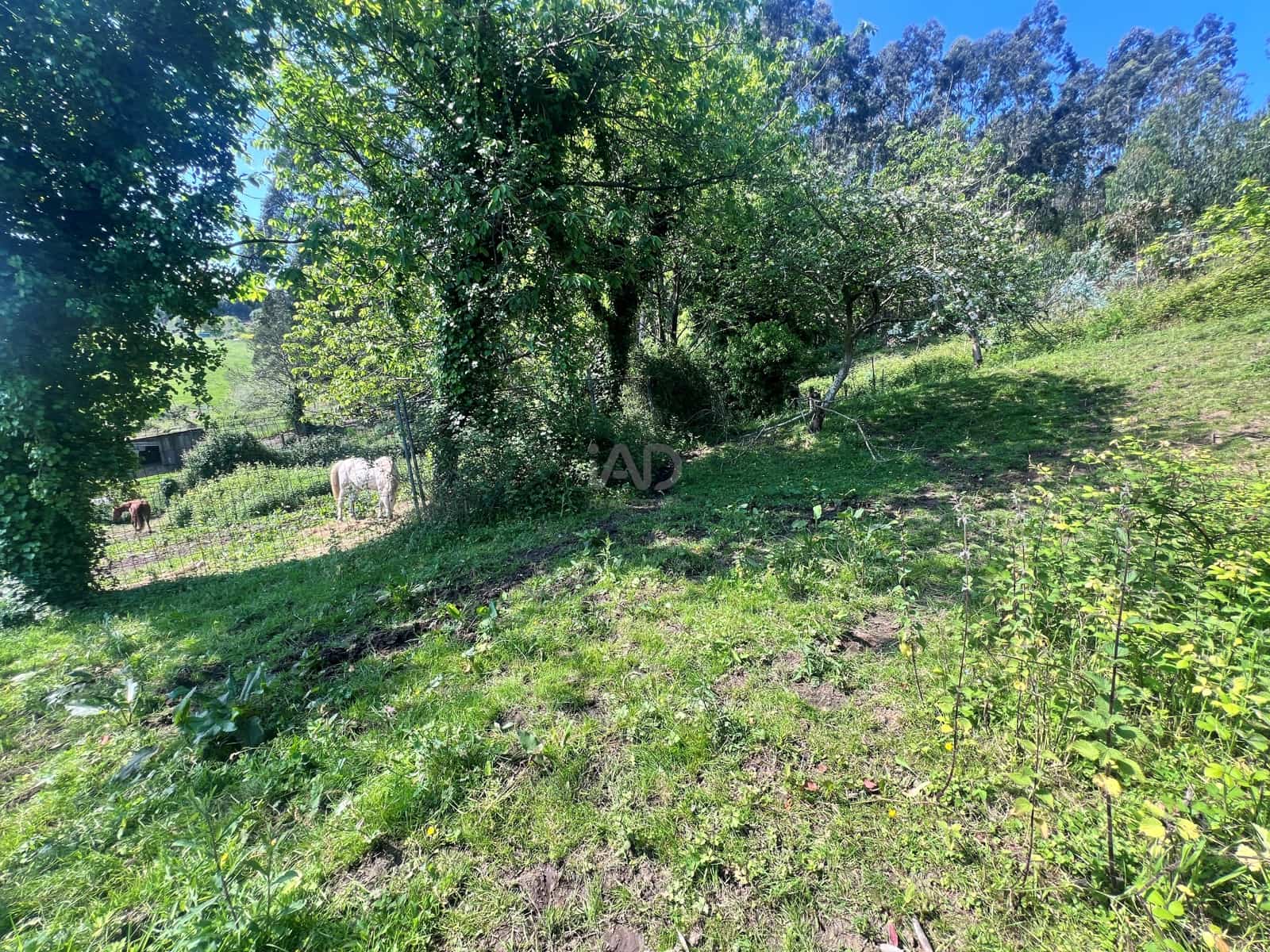 Radhus till salu i Castrillon - 105 000 € (Ref: 9989001)