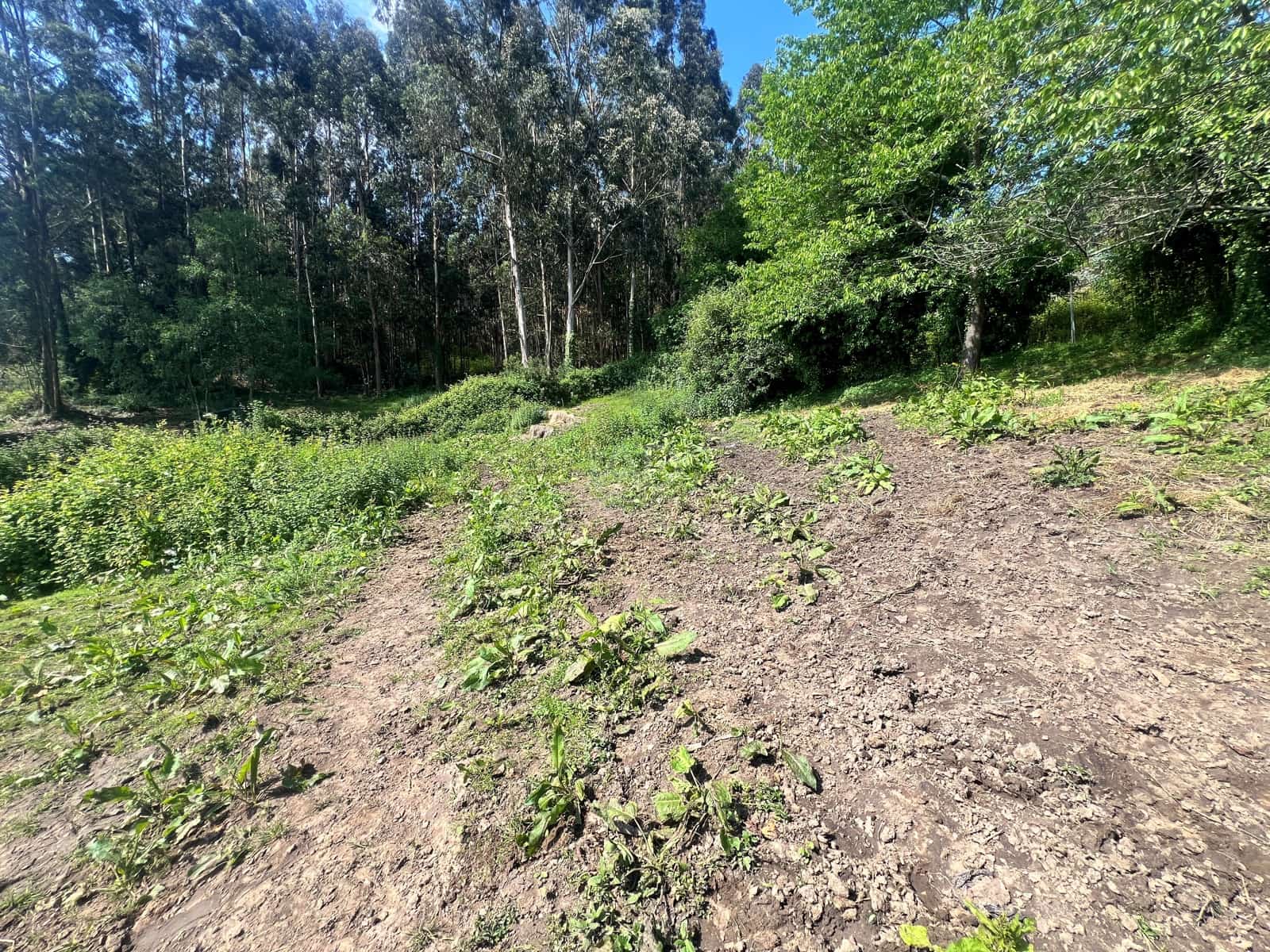 Radhus till salu i Castrillon - 105 000 € (Ref: 9989001)