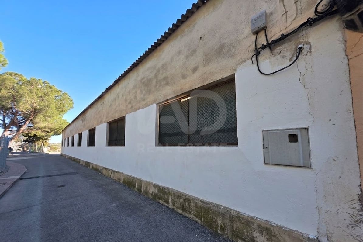 Area Edificabile in vendita in Calasparra - 300.000 € (Rif: 9989016)