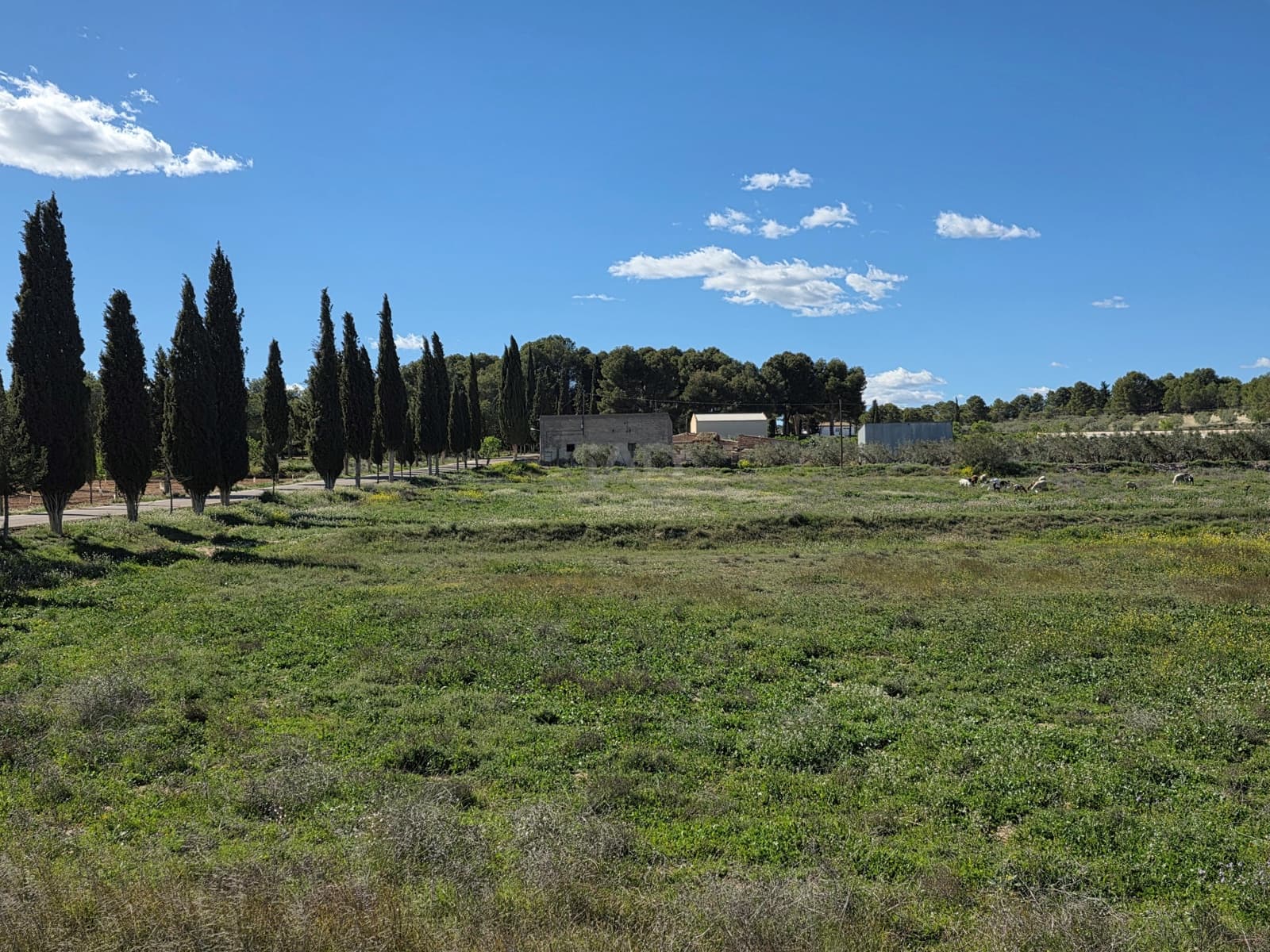 Terreno Non Edificato in vendita in Calasparra - 190.000 € (Rif: 9989026)