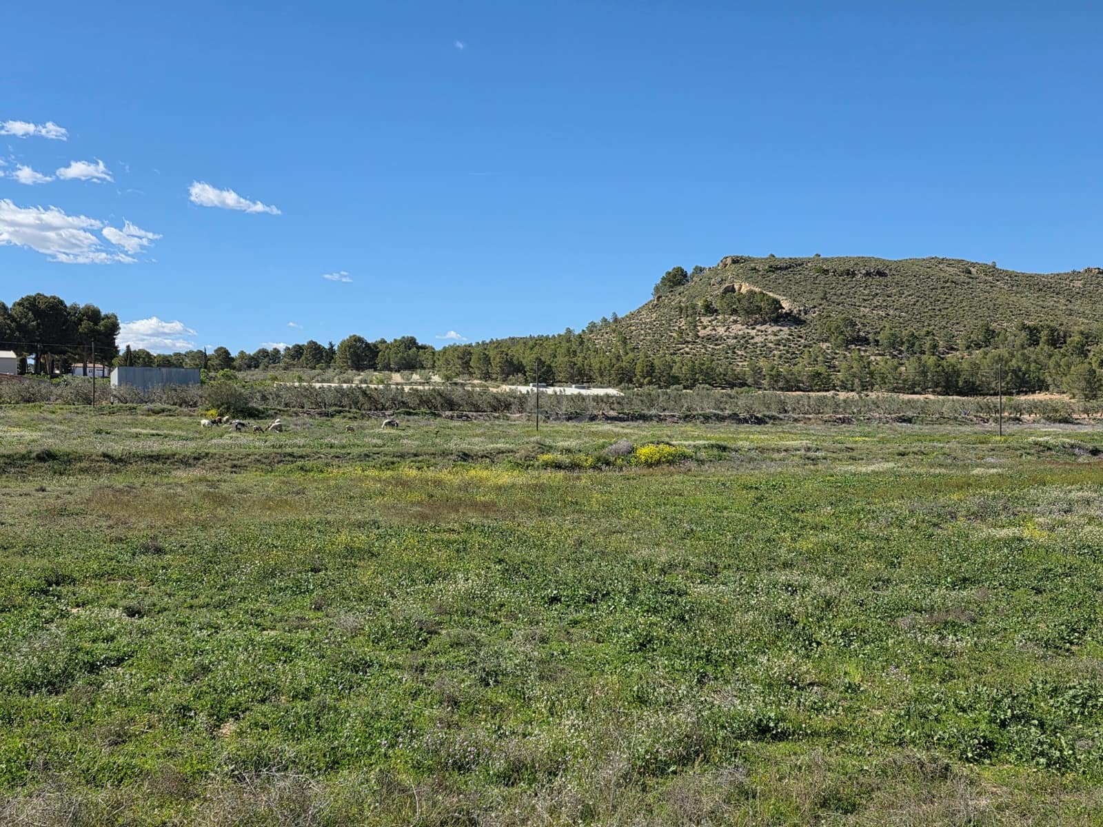 Terreno Non Edificato in vendita in Calasparra - 190.000 € (Rif: 9989026)
