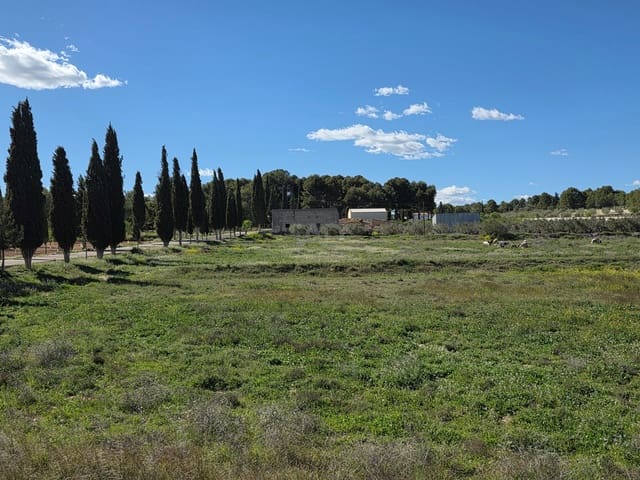 Grunde uden byggetilladelser til salg i Calasparra - € 190.000 (Ref: 9989026)