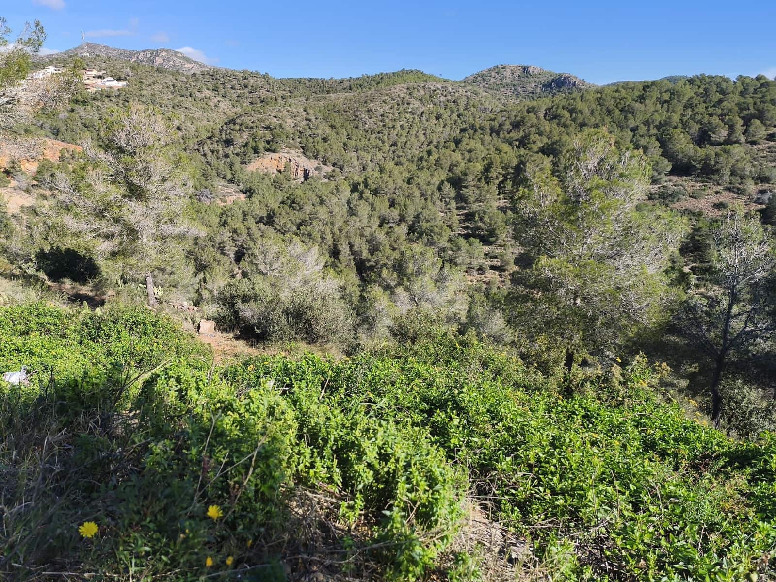 Bauplatz zu verkaufen in Tarragona Stadt - 22.000 € (Ref: 9989032)