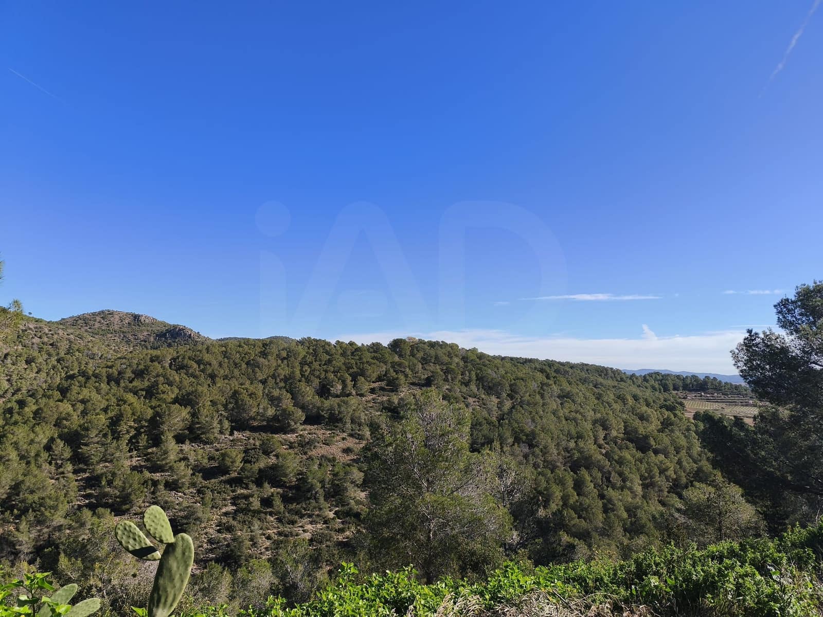Bauplatz zu verkaufen in Tarragona Stadt - 22.000 € (Ref: 9989032)
