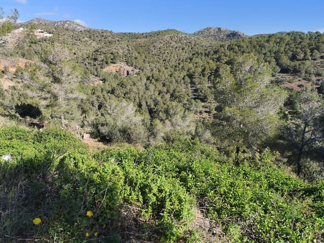 Byggegrund til salg i La Bisbal del Penedès - € 22.000 (Ref: 9989032)