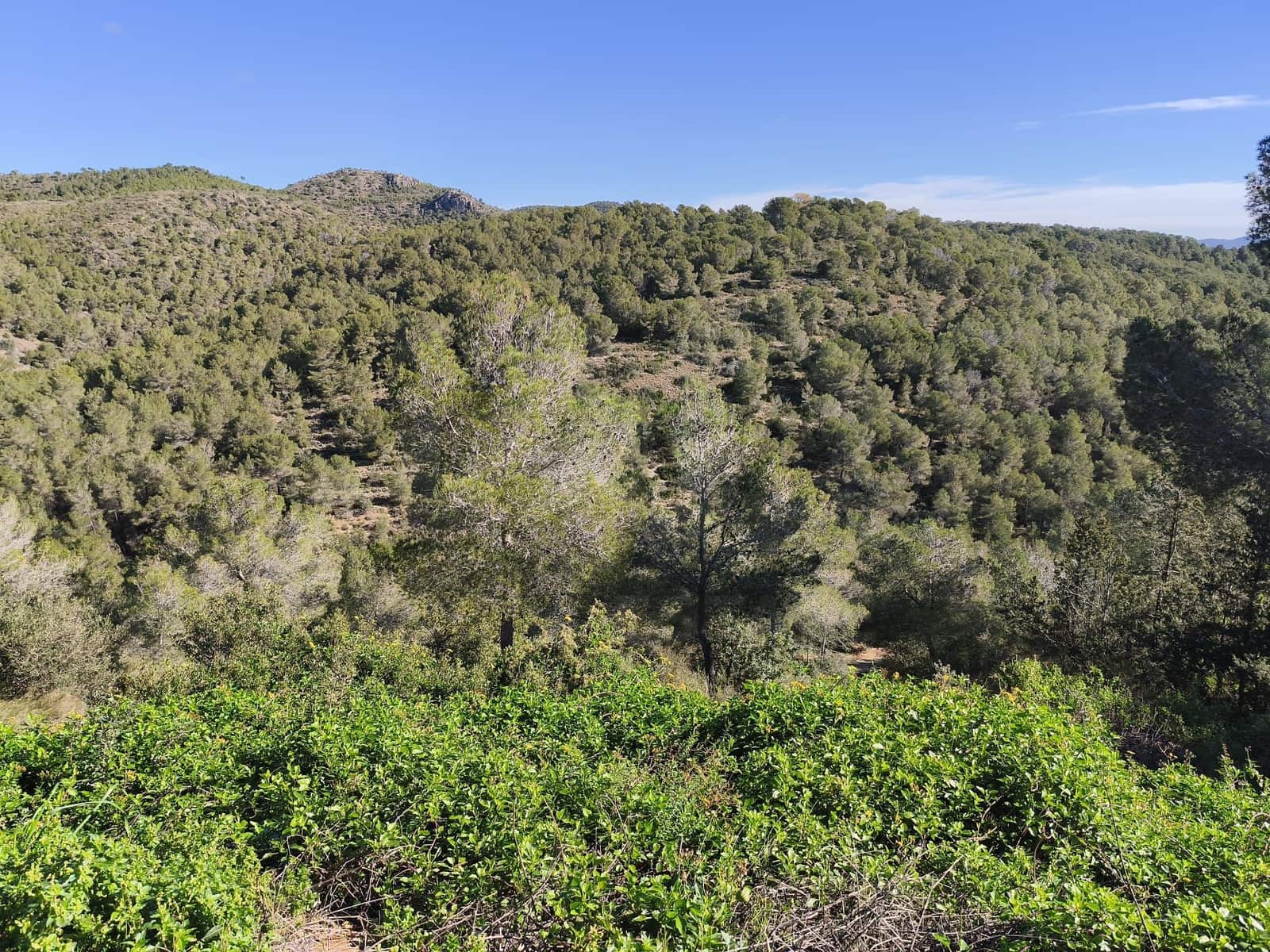 Bauplatz zu verkaufen in Tarragona Stadt - 22.000 € (Ref: 9989032)