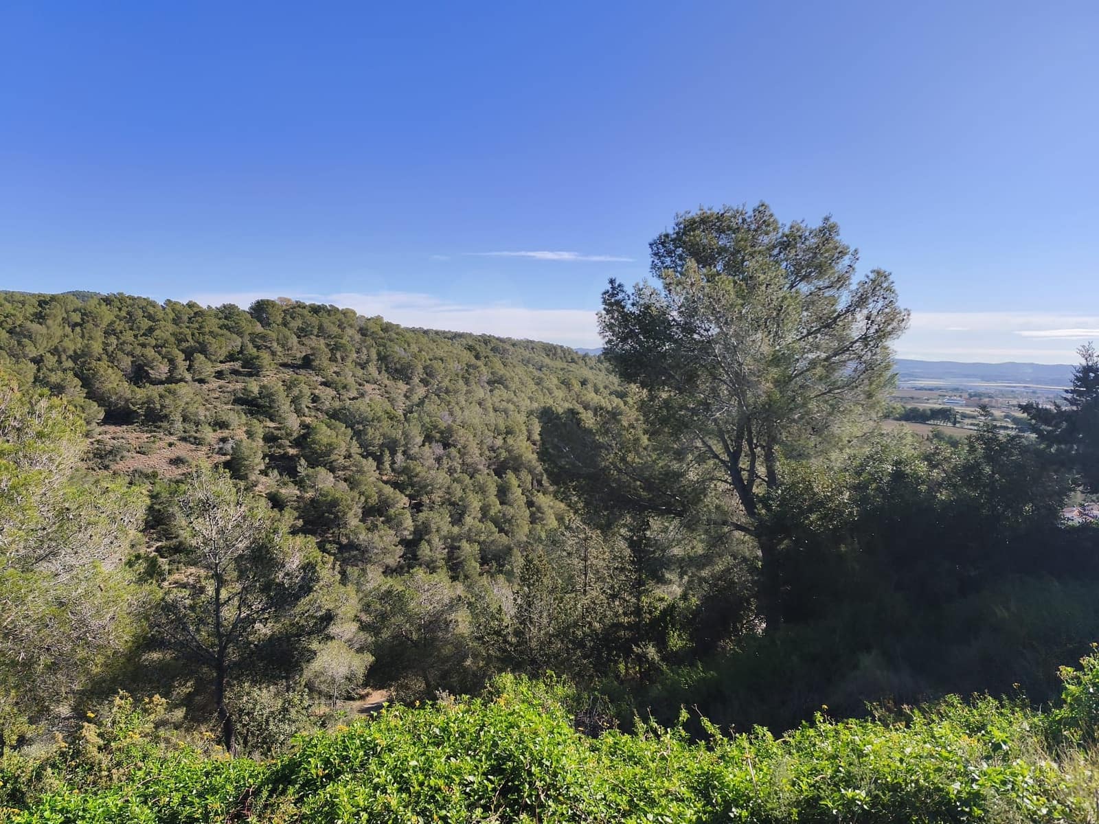 Bauplatz zu verkaufen in Tarragona Stadt - 22.000 € (Ref: 9989032)