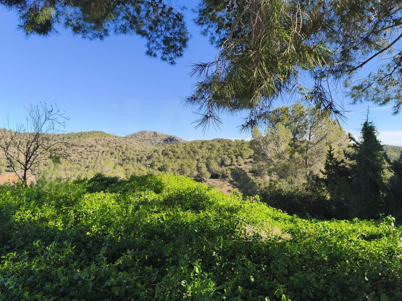 Bauplatz zu verkaufen in Tarragona Stadt - 22.000 € (Ref: 9989032)