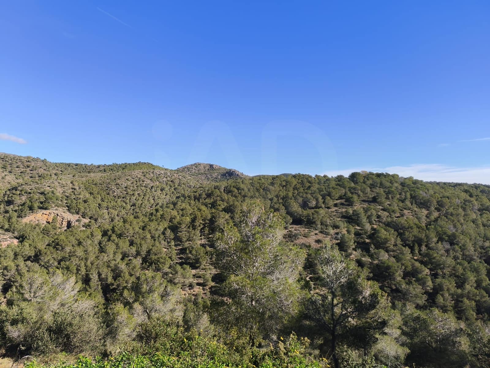 Bauplatz zu verkaufen in Tarragona Stadt - 22.000 € (Ref: 9989032)