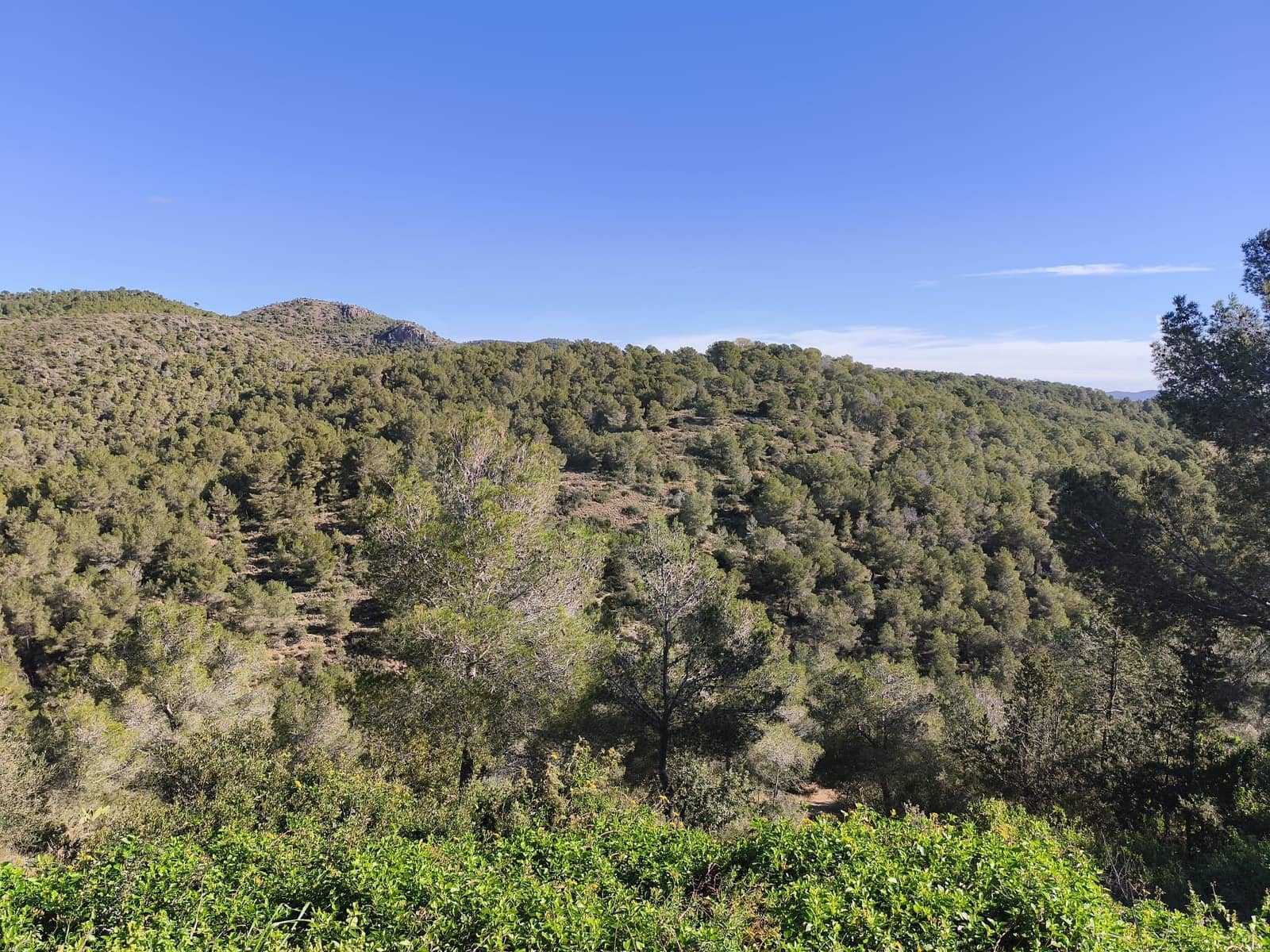 Bauplatz zu verkaufen in Tarragona Stadt - 22.000 € (Ref: 9989032)