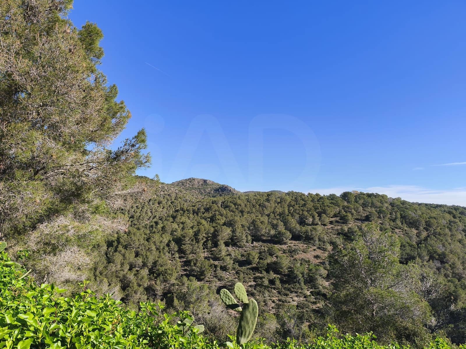 Bauplatz zu verkaufen in Tarragona Stadt - 22.000 € (Ref: 9989032)