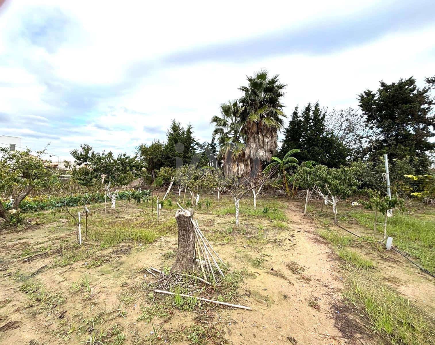Bauplatz zu verkaufen in Tarragona Stadt - 38.000 € (Ref: 9989036)