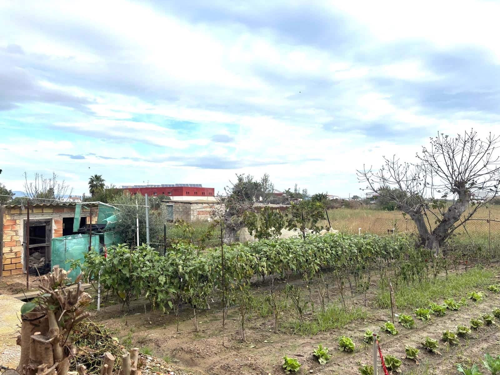 Bauplatz zu verkaufen in Tarragona Stadt - 38.000 € (Ref: 9989036)