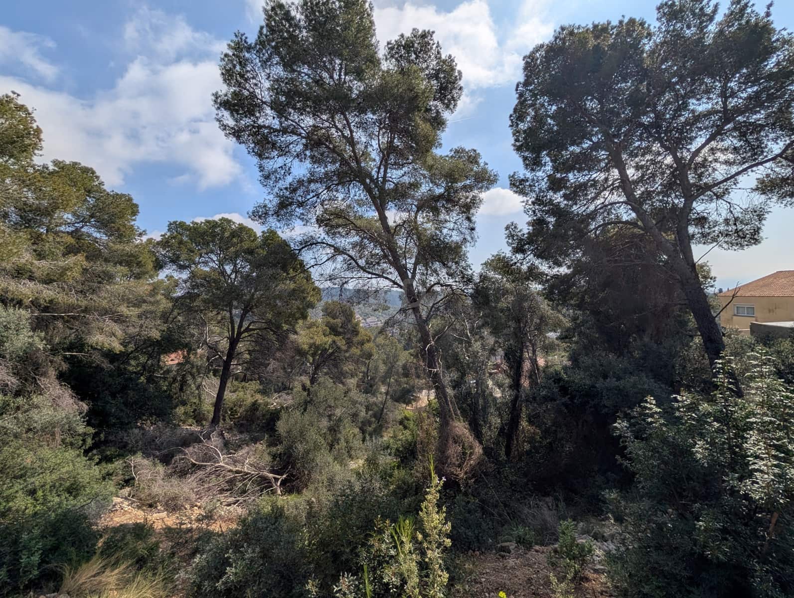 Solar/Parcela en Tarragona ciudad en venta - 156.000 € (Ref: 9989051)