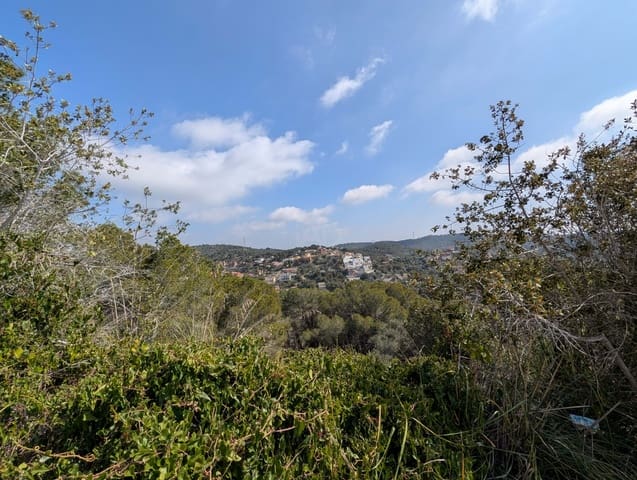 Building Plot for sale in Cunit - € 156,000 (Ref: 9989051)