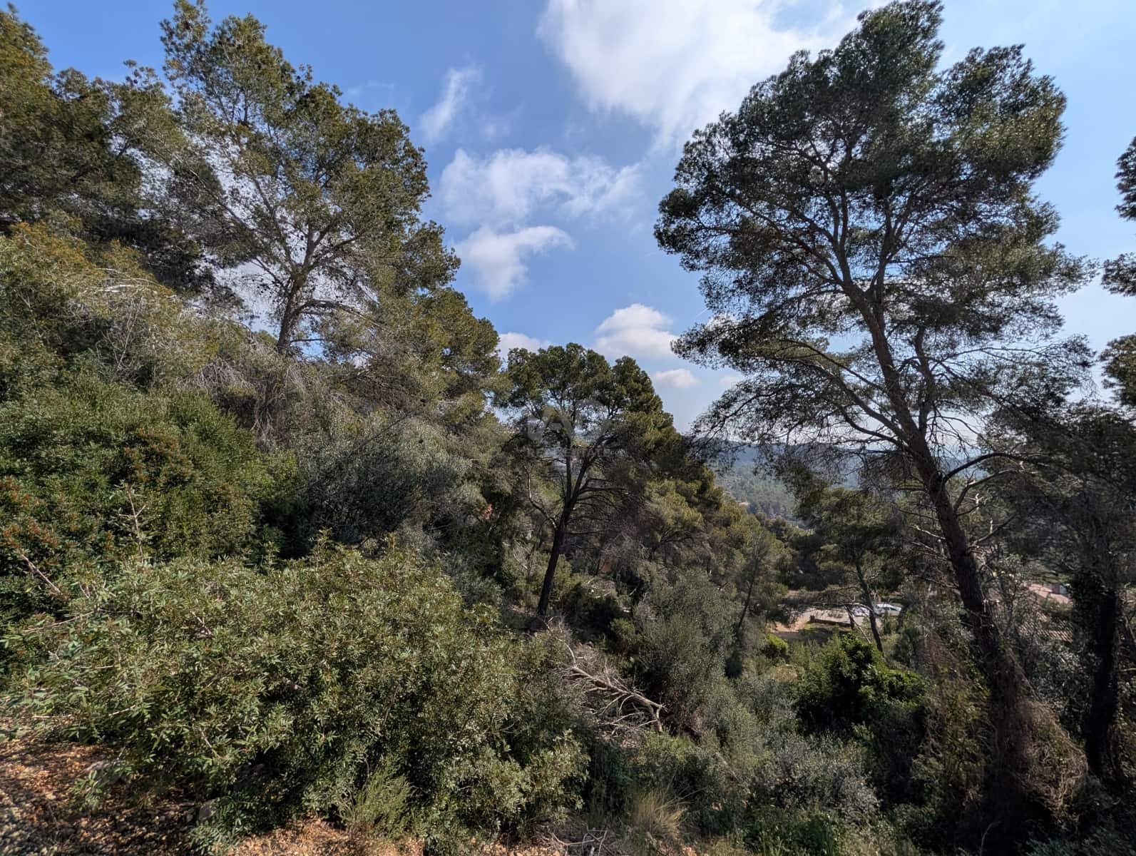 Solar/Parcela en Tarragona ciudad en venta - 156.000 € (Ref: 9989051)