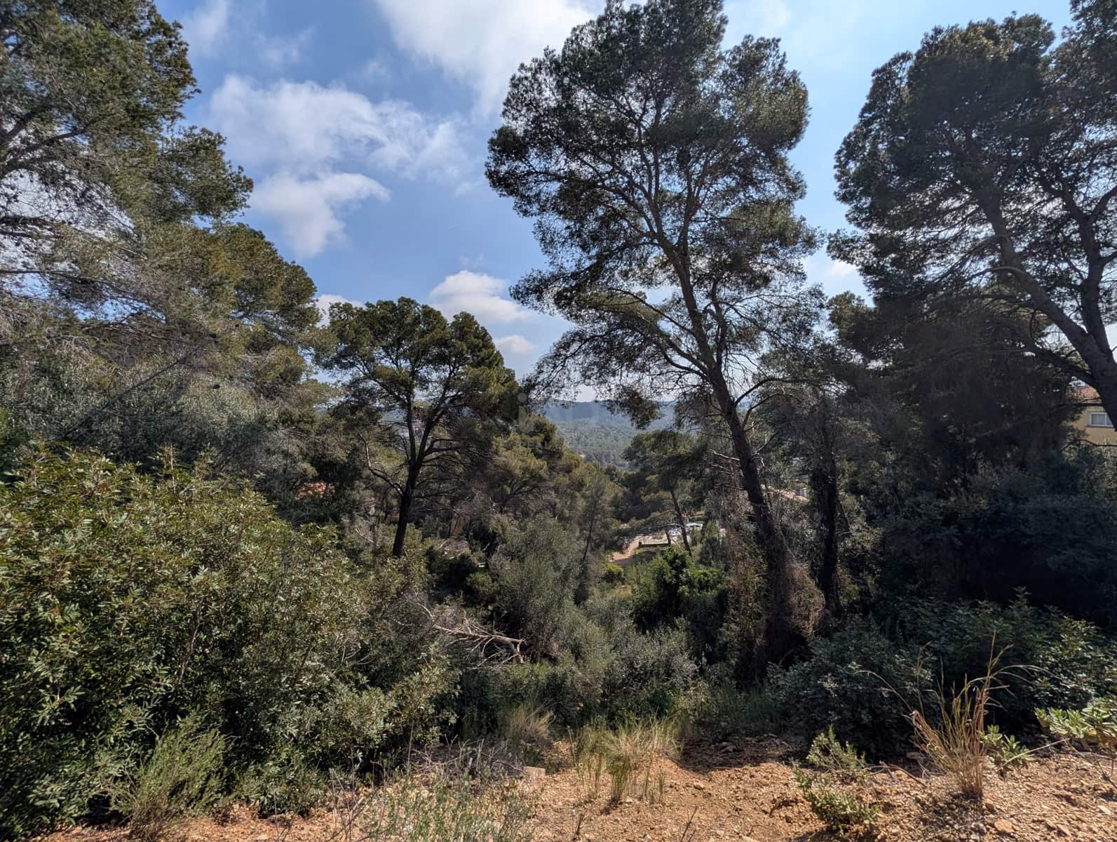 Solar/Parcela en Tarragona ciudad en venta - 156.000 € (Ref: 9989051)
