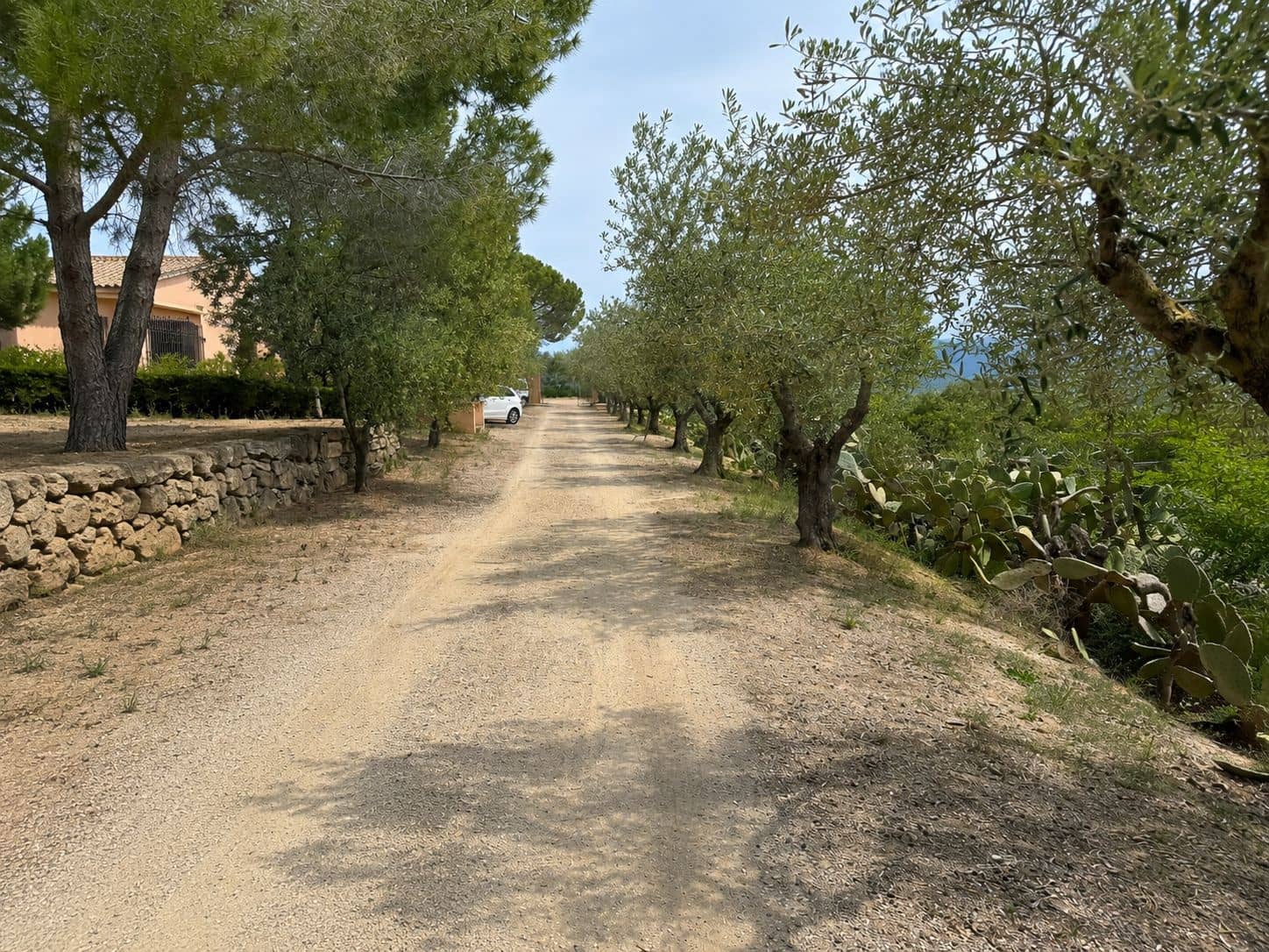 12 slaapkamer Finca/Landhuis te koop in Madrid stad met zwembad garage - € 5.600.000 (Ref: 9989058)