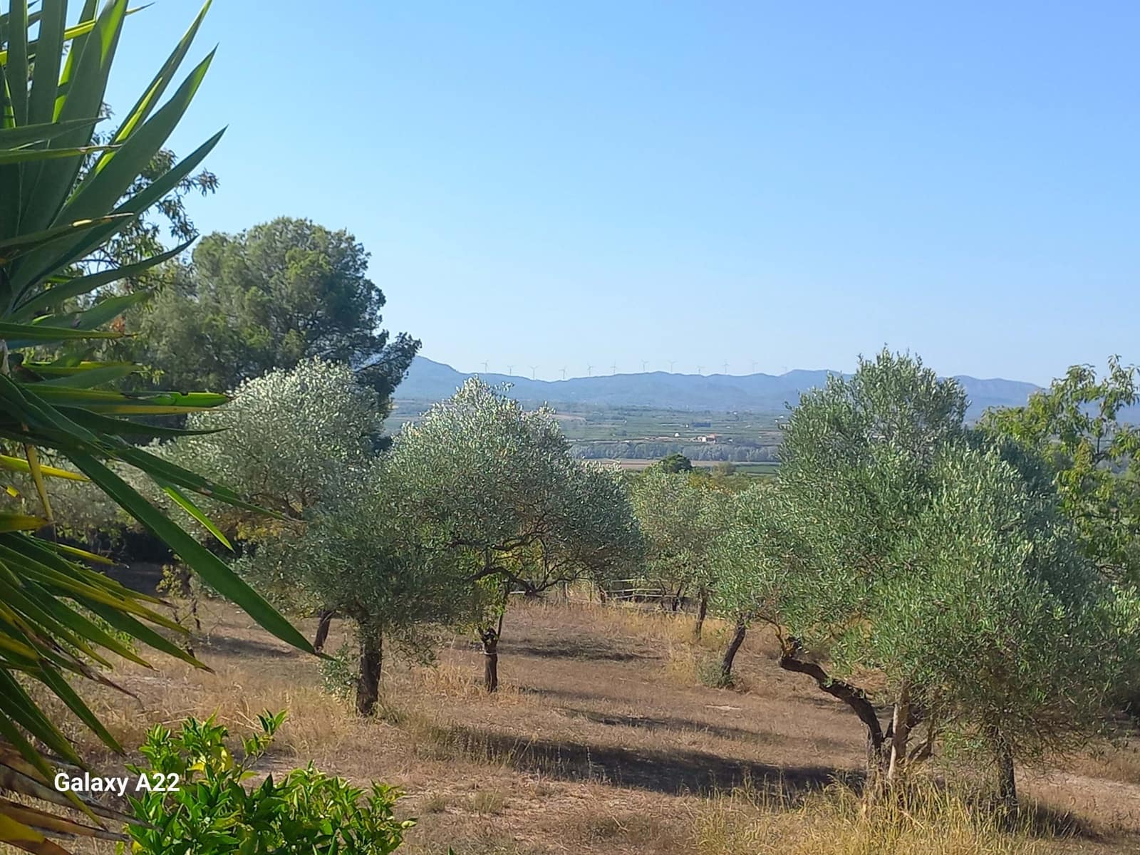 3 soveværelse Finca/Landehus til salg i Tarragona by - € 375.000 (Ref: 9989068)