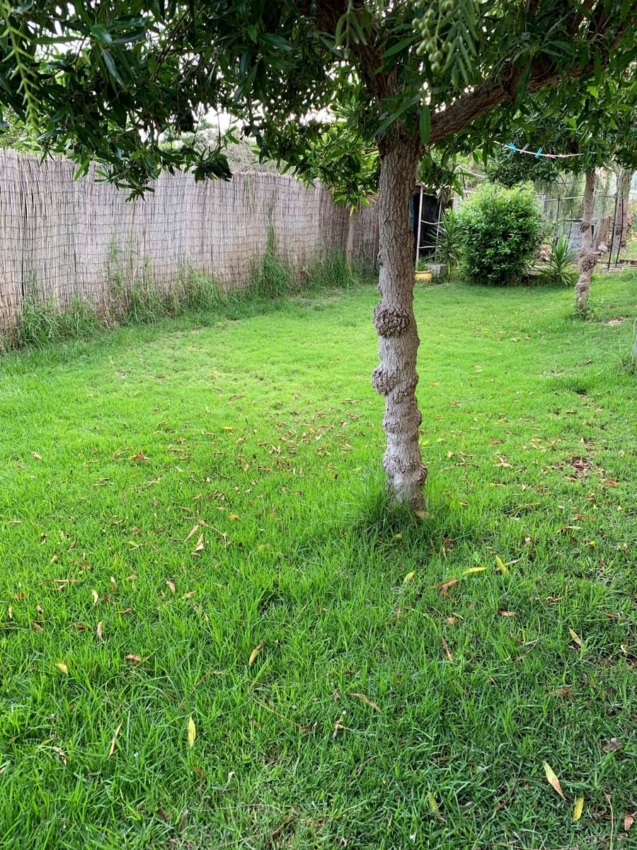 Terreno Non Edificato in vendita in Elche / Elx - 139.000 € (Rif: 9989079)