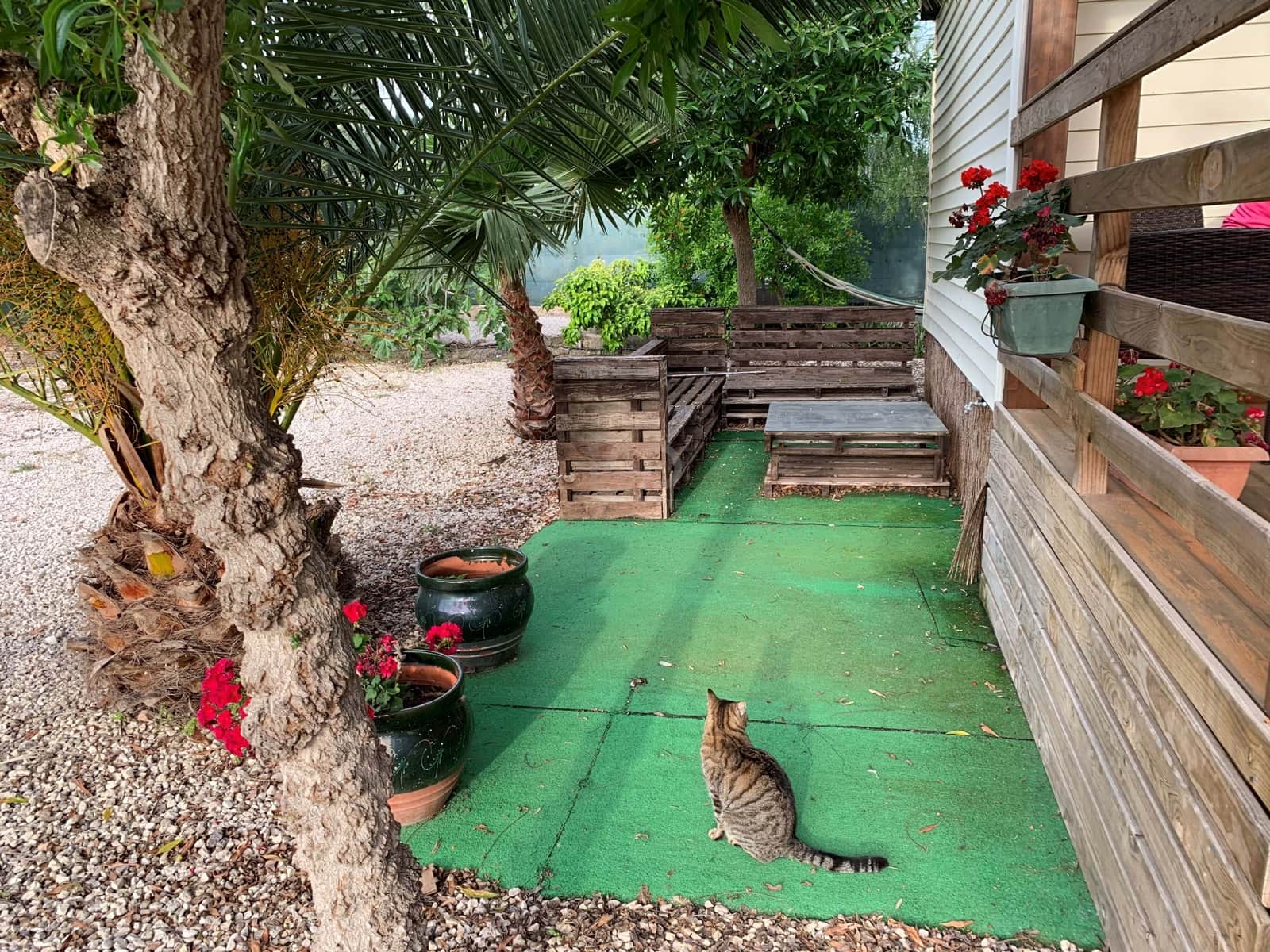 Terreno Non Edificato in vendita in Elche / Elx - 139.000 € (Rif: 9989079)